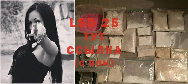соль ск Новодвинск