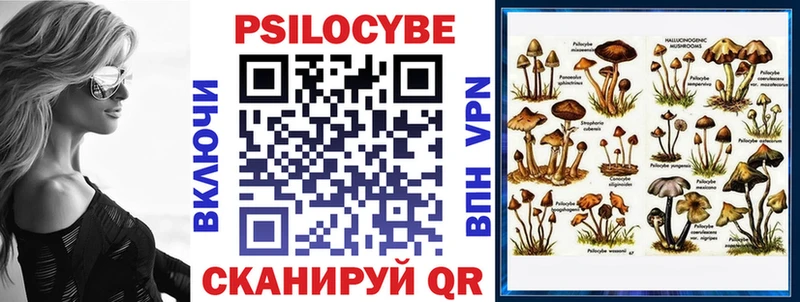 купить наркотик  Оленегорск  OMG ТОР  Псилоцибиновые грибы мицелий 